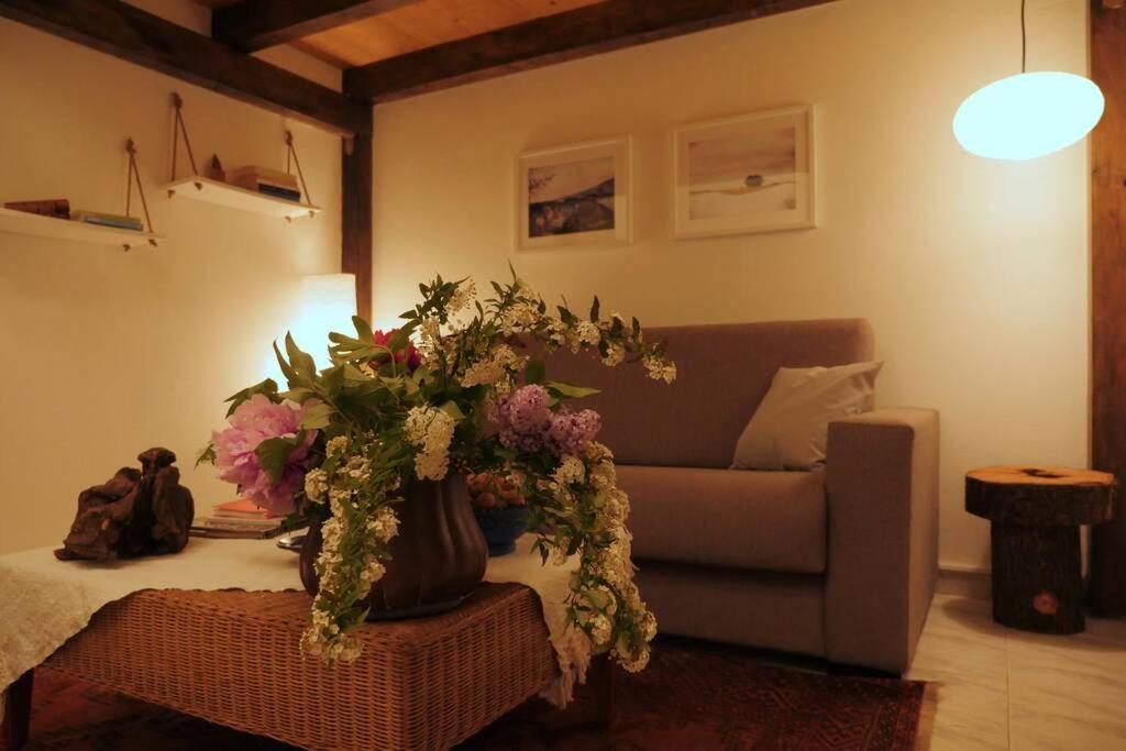 Casa Bicerin Apartment Turin Ngoại thất bức ảnh