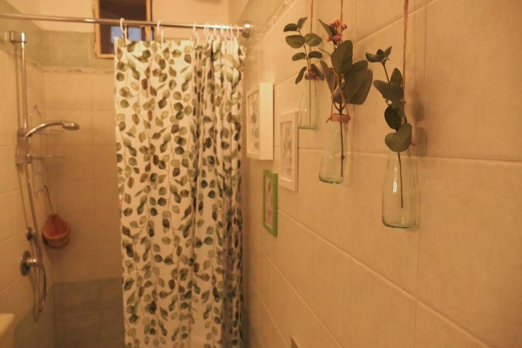 Casa Bicerin Apartment Turin Ngoại thất bức ảnh